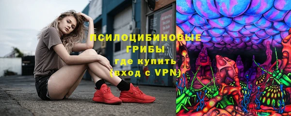 ГАЛЛЮЦИНОГЕННЫЕ ГРИБЫ Волоколамск