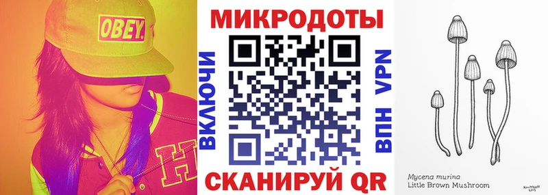 Купить где  Богучар  Псилоцибиновые грибы Psilocybine cubensis 